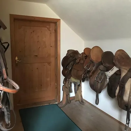 Sattelzimmer Und Studio Pischeldorf