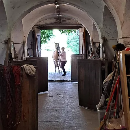 Sattelzimmer Und Studio